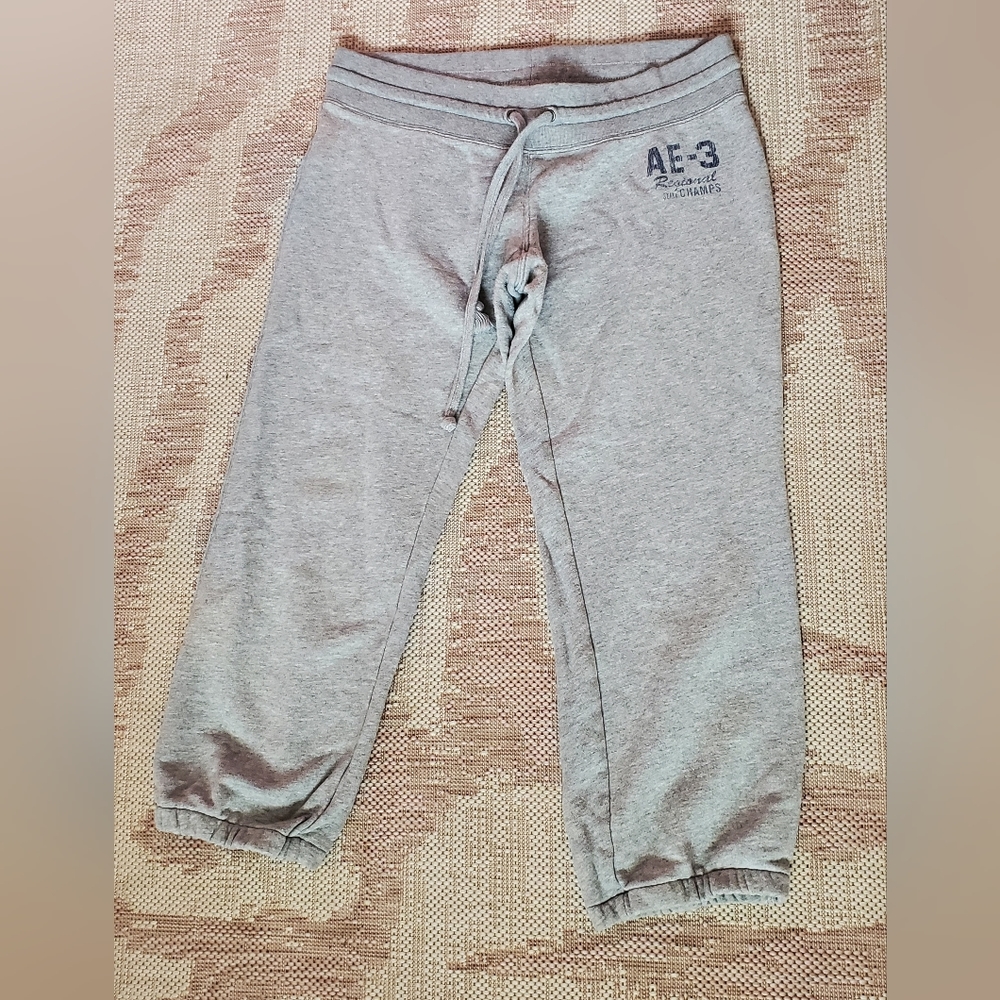 American Eagle Sweatpant Jogger | Size Small